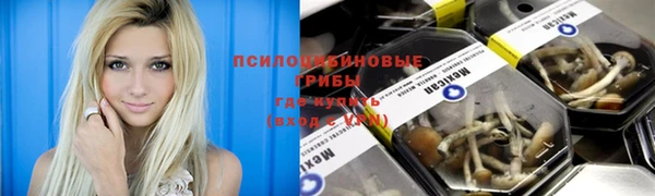 альфа пвп Карпинск