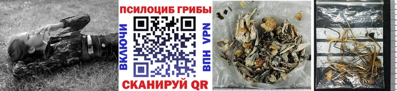 Галлюциногенные грибы Cubensis  Миньяр 